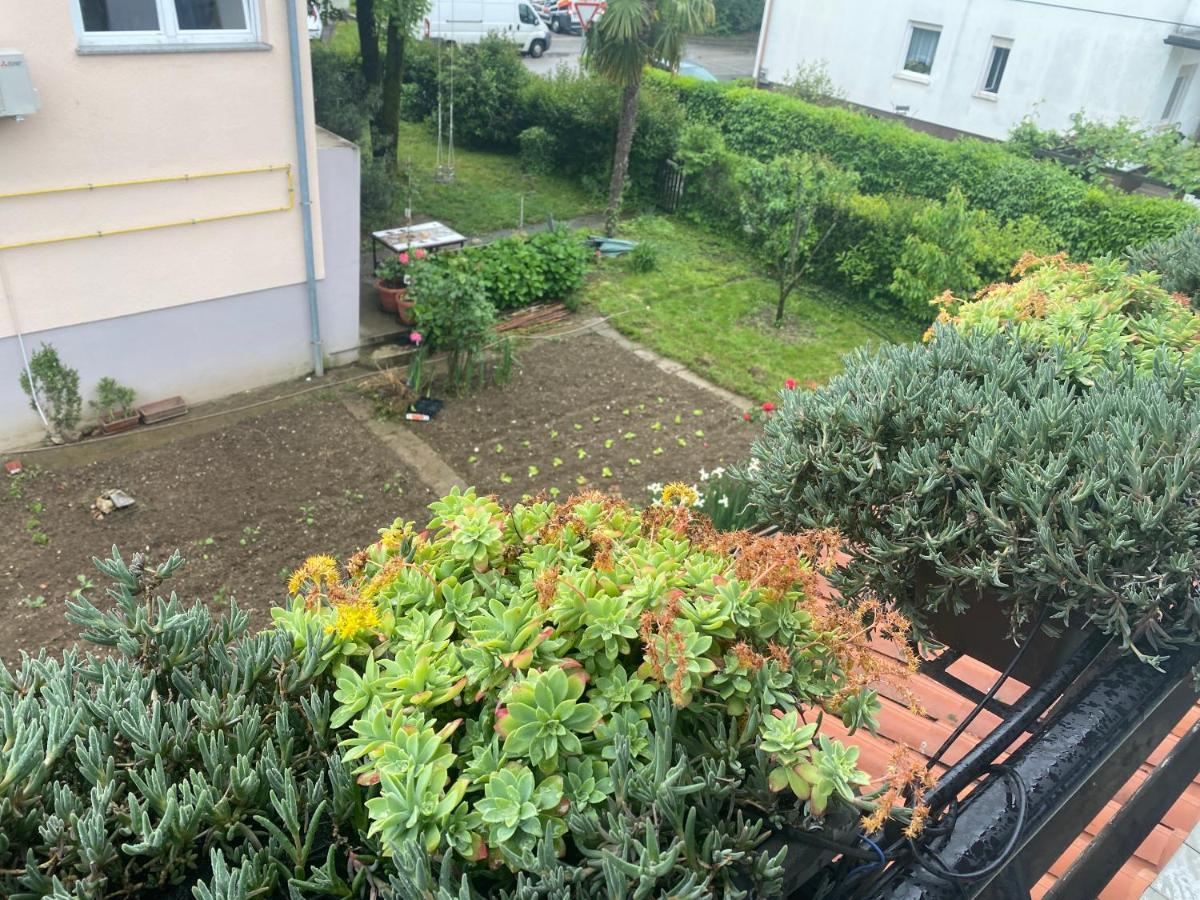 Apartma Magnolija Nova Gorica Buitenkant foto