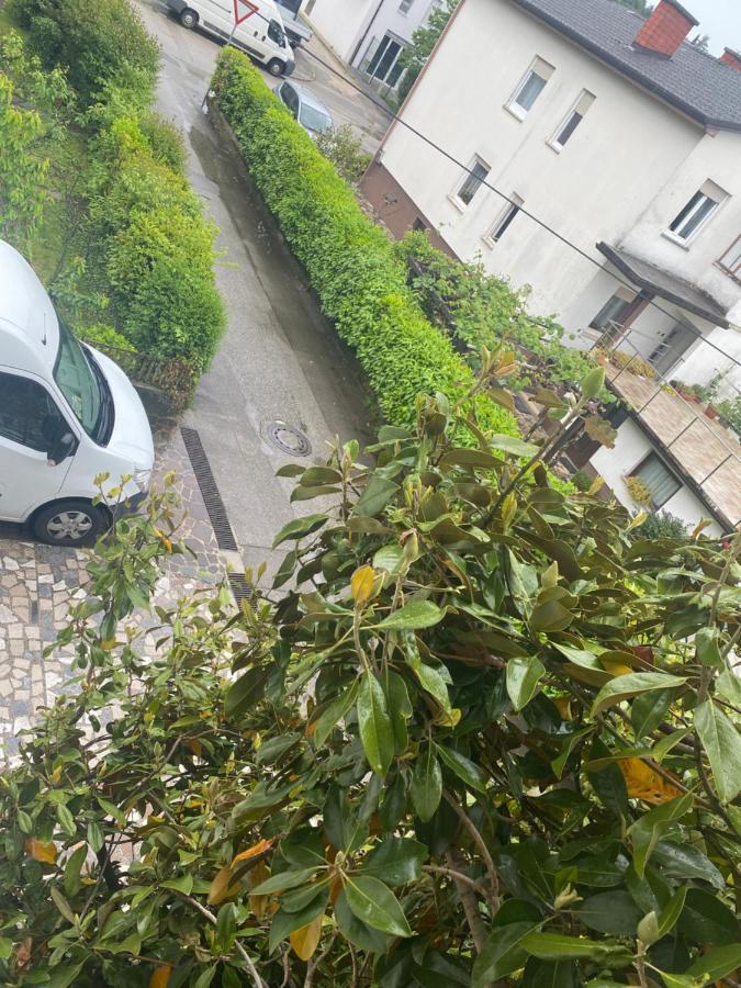 Apartma Magnolija Nova Gorica Buitenkant foto