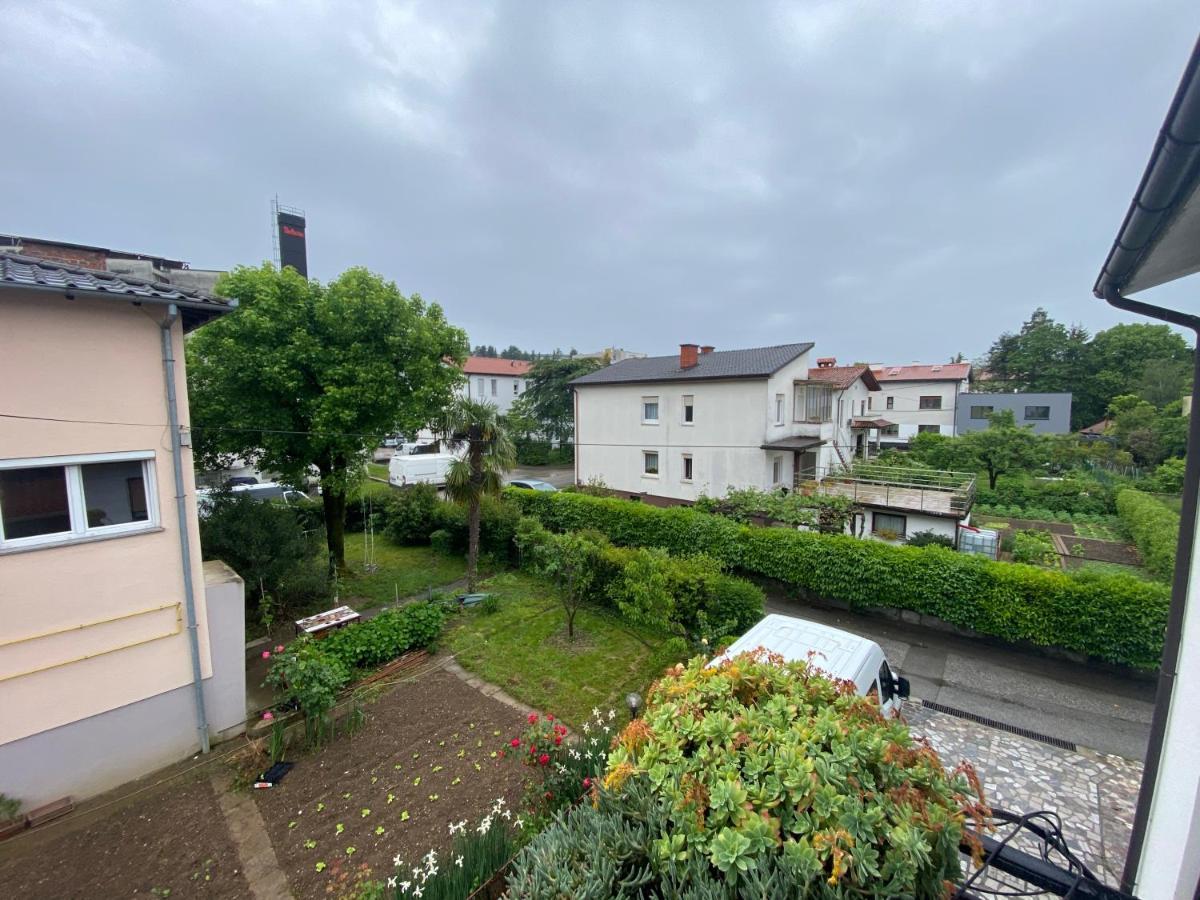 Apartma Magnolija Nova Gorica Buitenkant foto